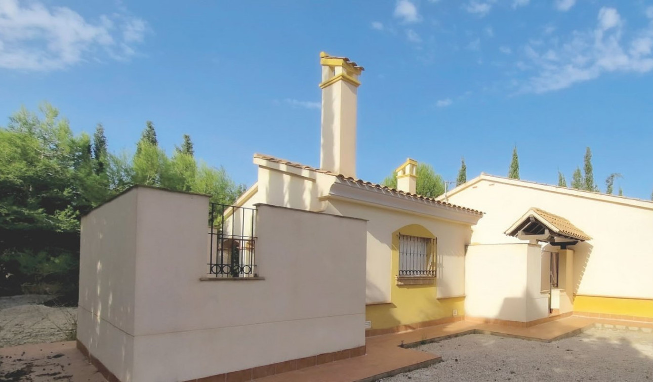 New Build - Detached Villa - Fuente Álamo - Las Palas