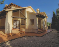 New Build - Detached Villa - Fuente Álamo - Las Palas