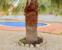 New Build - Detached Villa - La Romana - Villas de la Romana