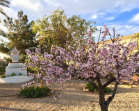 New Build - Detached Villa - Los Urrutias - Estrella De Mar