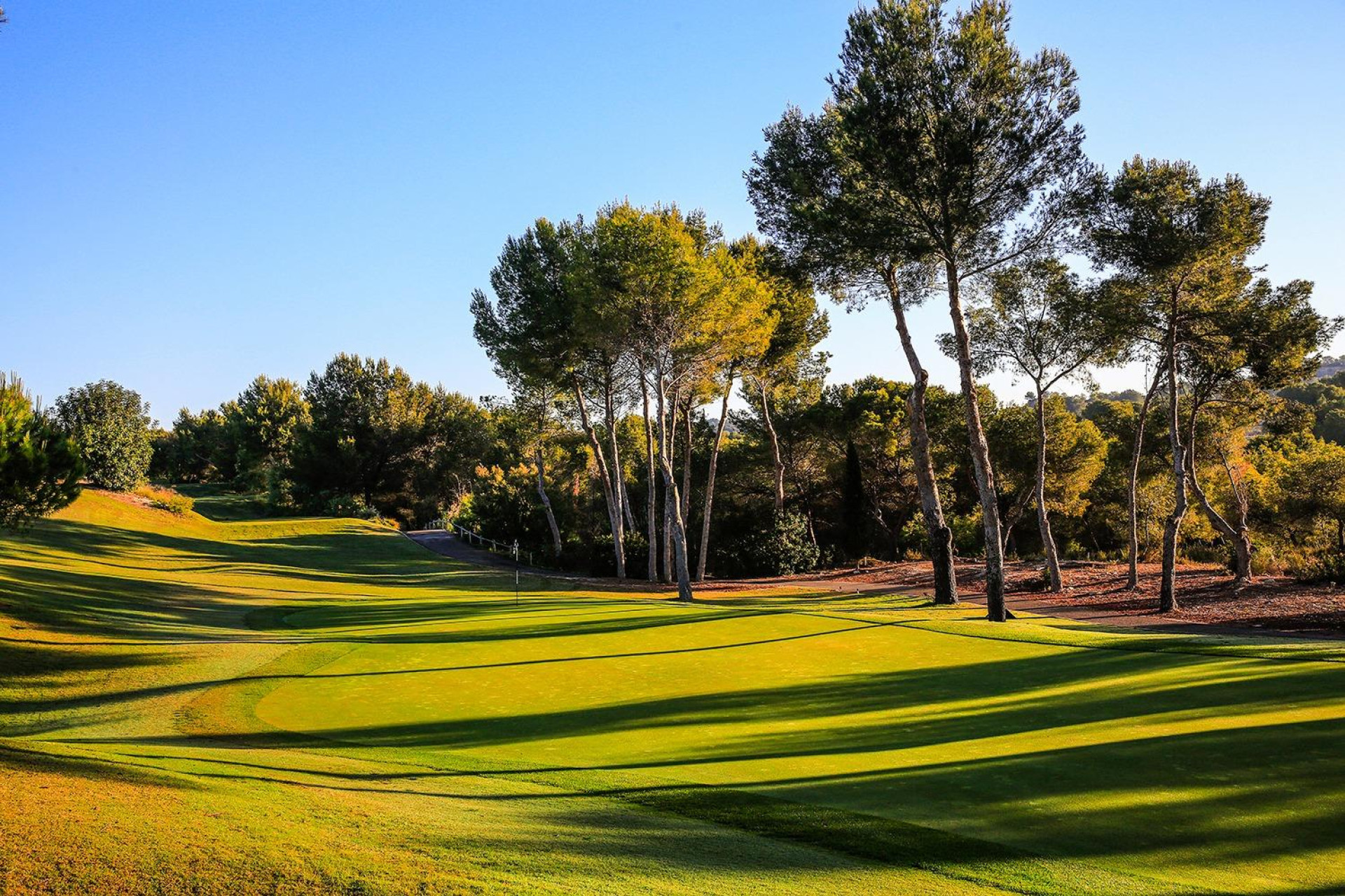 New Build - Detached Villa - Orihuela - Las Colinas Golf