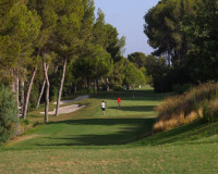 New Build - Detached Villa - Orihuela - Las Colinas Golf