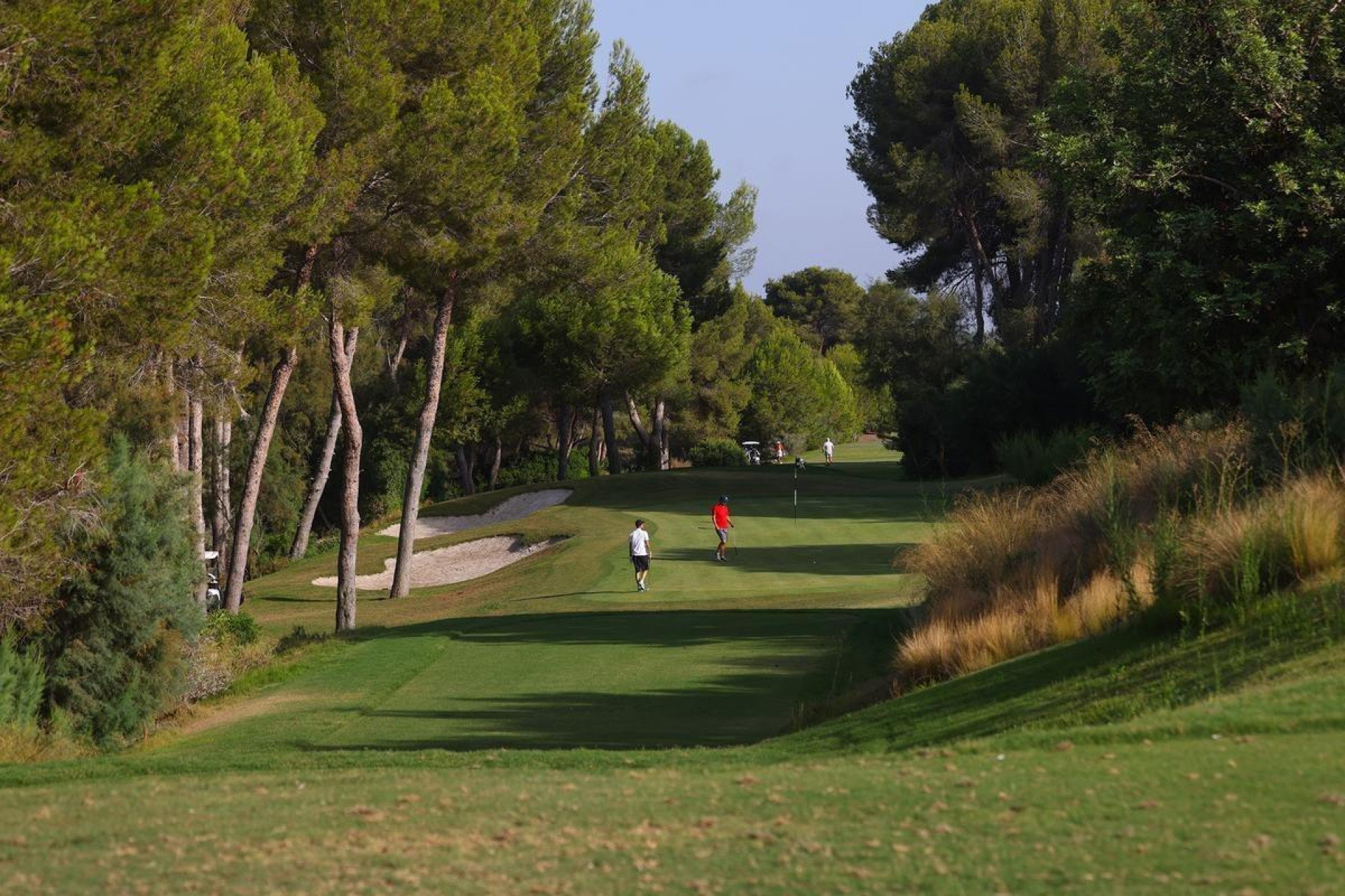 New Build - Detached Villa - Orihuela - Las Colinas Golf