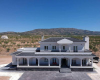 New Build - Detached Villa - Pinoso - Camino Del Prado