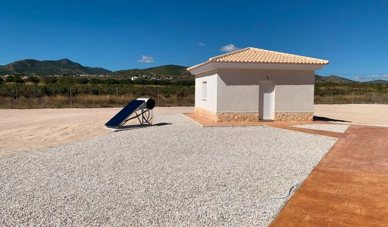 New Build - Detached Villa - Pinoso - Camino Del Prado