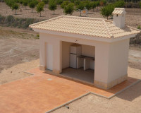 New Build - Detached Villa - Pinoso - Camino Del Prado