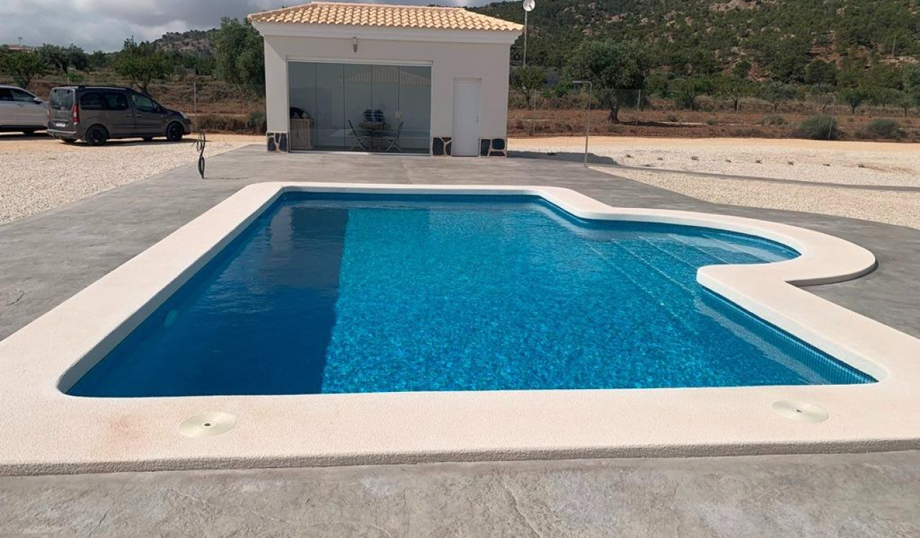 New Build - Detached Villa - Pinoso - Camino Del Prado