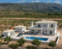 New Build - Detached Villa - Pinoso - Camino Del Prado