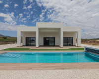 New Build - Detached Villa - Pinoso - Campo