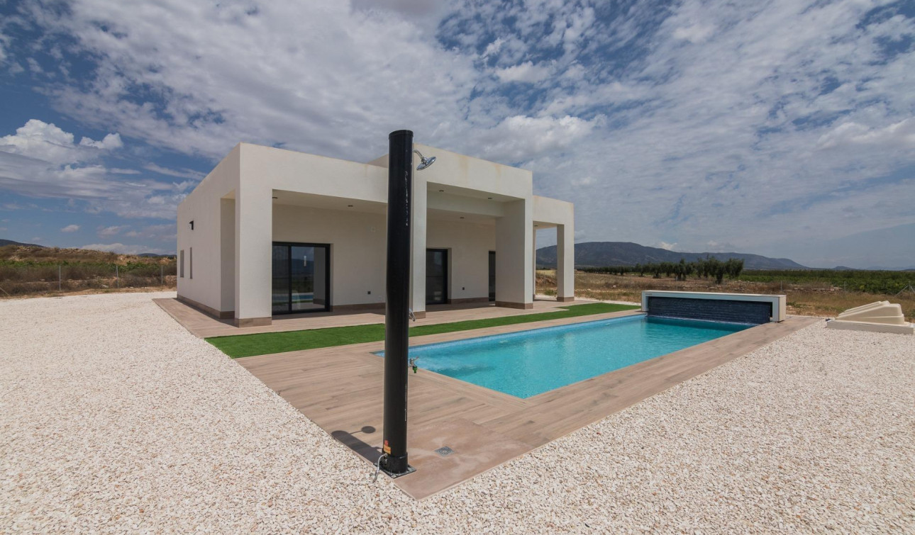 New Build - Detached Villa - Pinoso - Campo