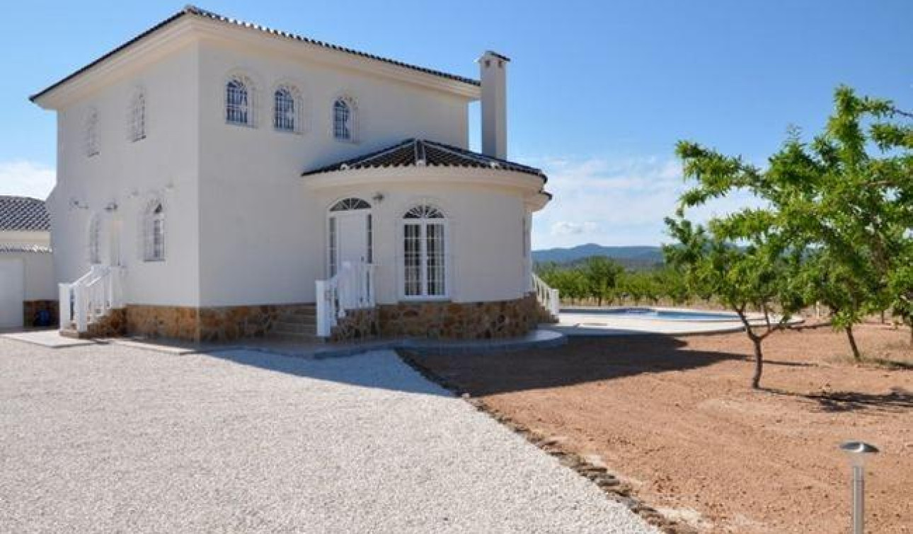 New Build - Detached Villa - Pinoso - Campo