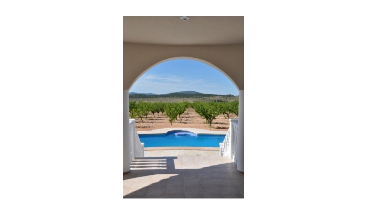 New Build - Detached Villa - Pinoso - Campo