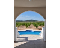 New Build - Detached Villa - Pinoso - Campo