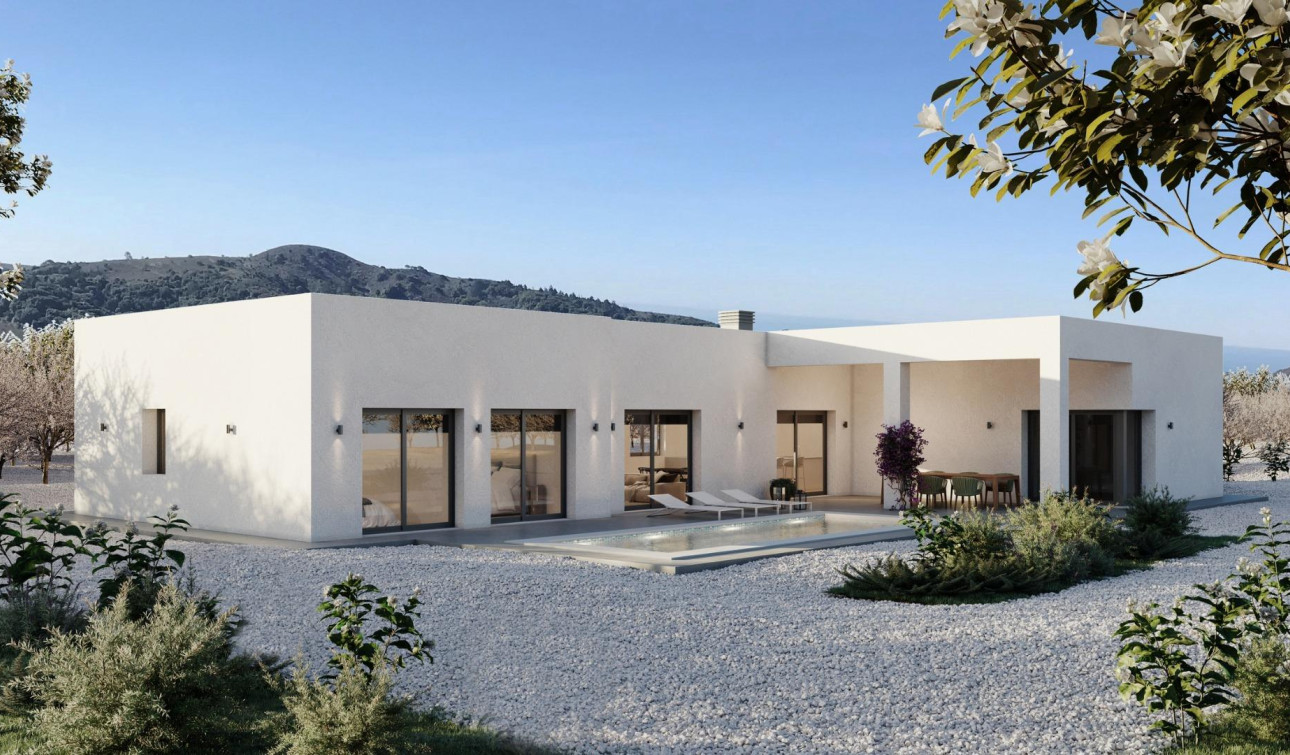 New Build - Detached Villa - Pinoso - Campo