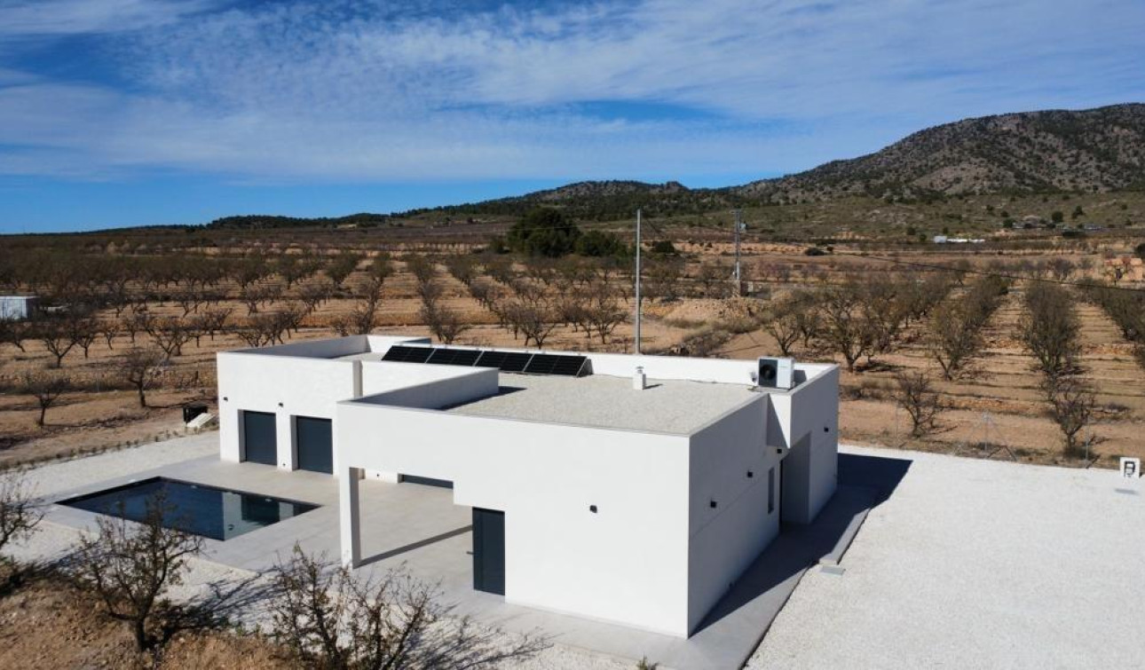 New Build - Detached Villa - Pinoso - Campo