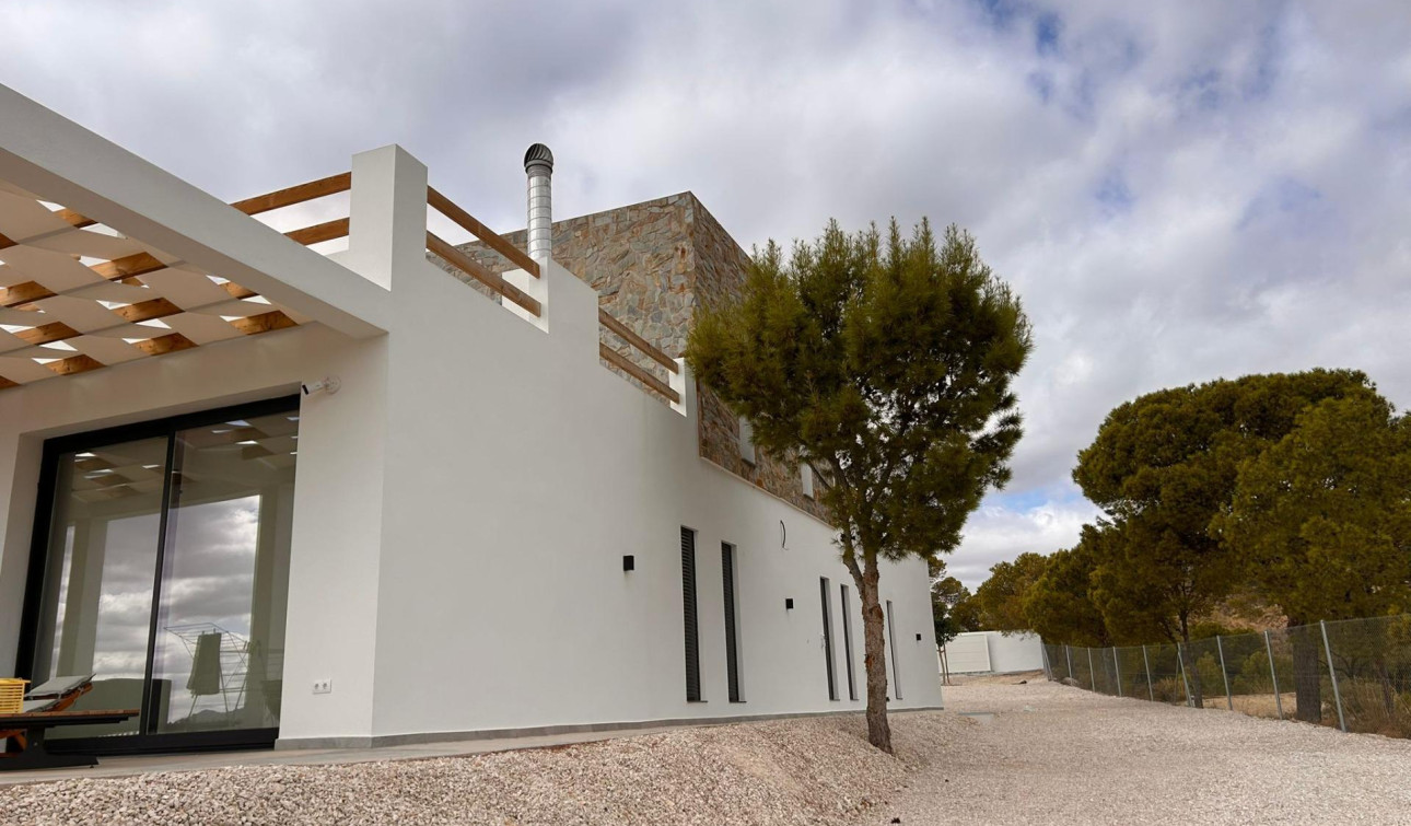 New Build - Detached Villa - Pinoso - Casas Pastor
