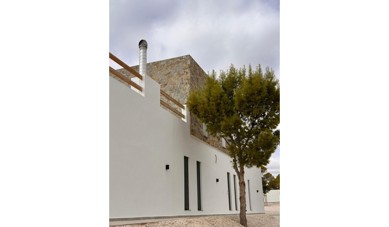 New Build - Detached Villa - Pinoso - Casas Pastor