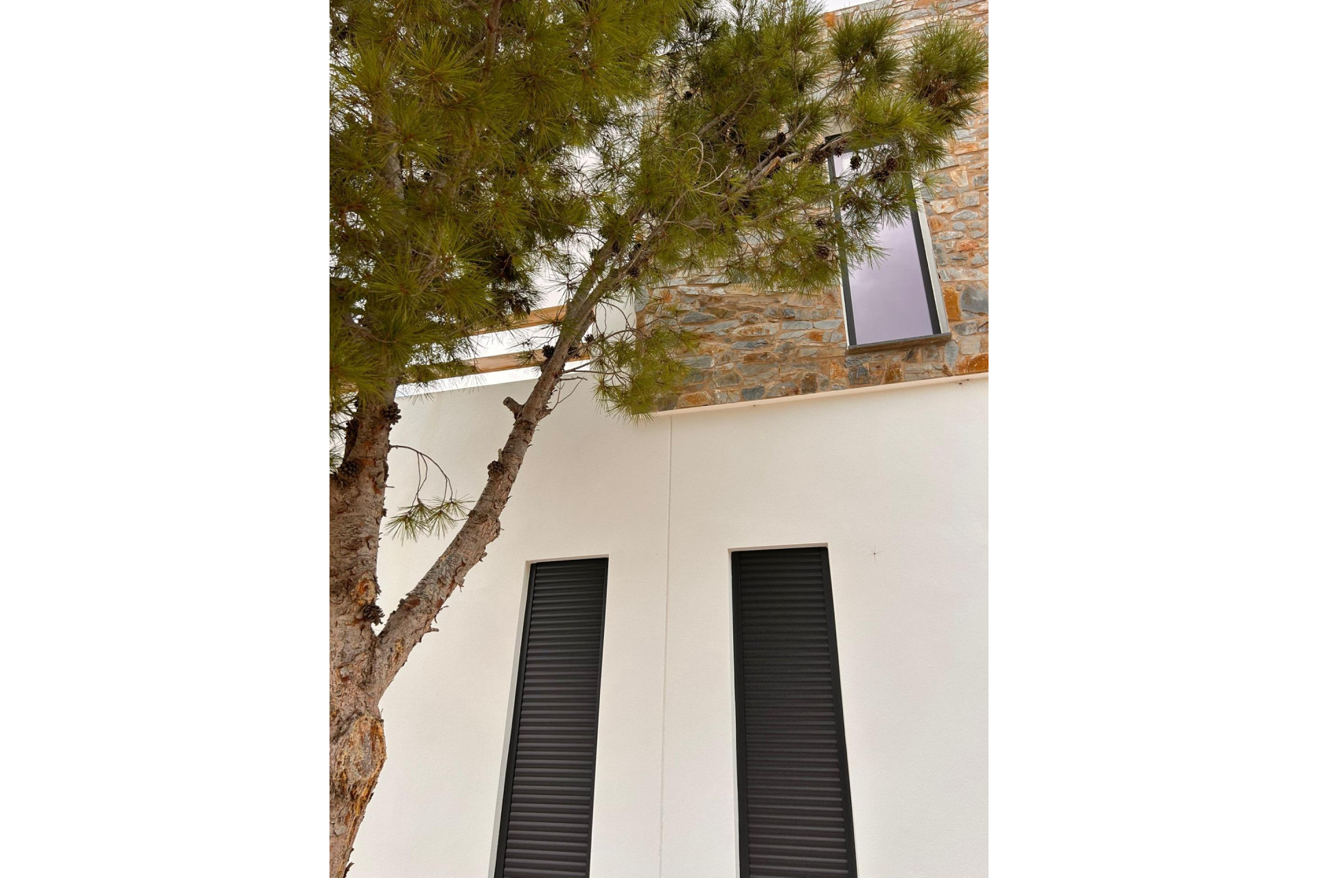 New Build - Detached Villa - Pinoso - Casas Pastor