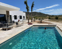 New Build - Detached Villa - Pinoso - Casas Pastor