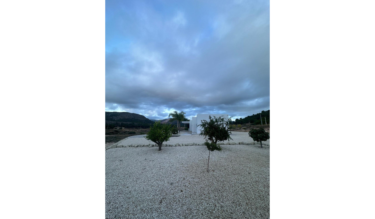 New Build - Detached Villa - Pinoso - Casas Pastor