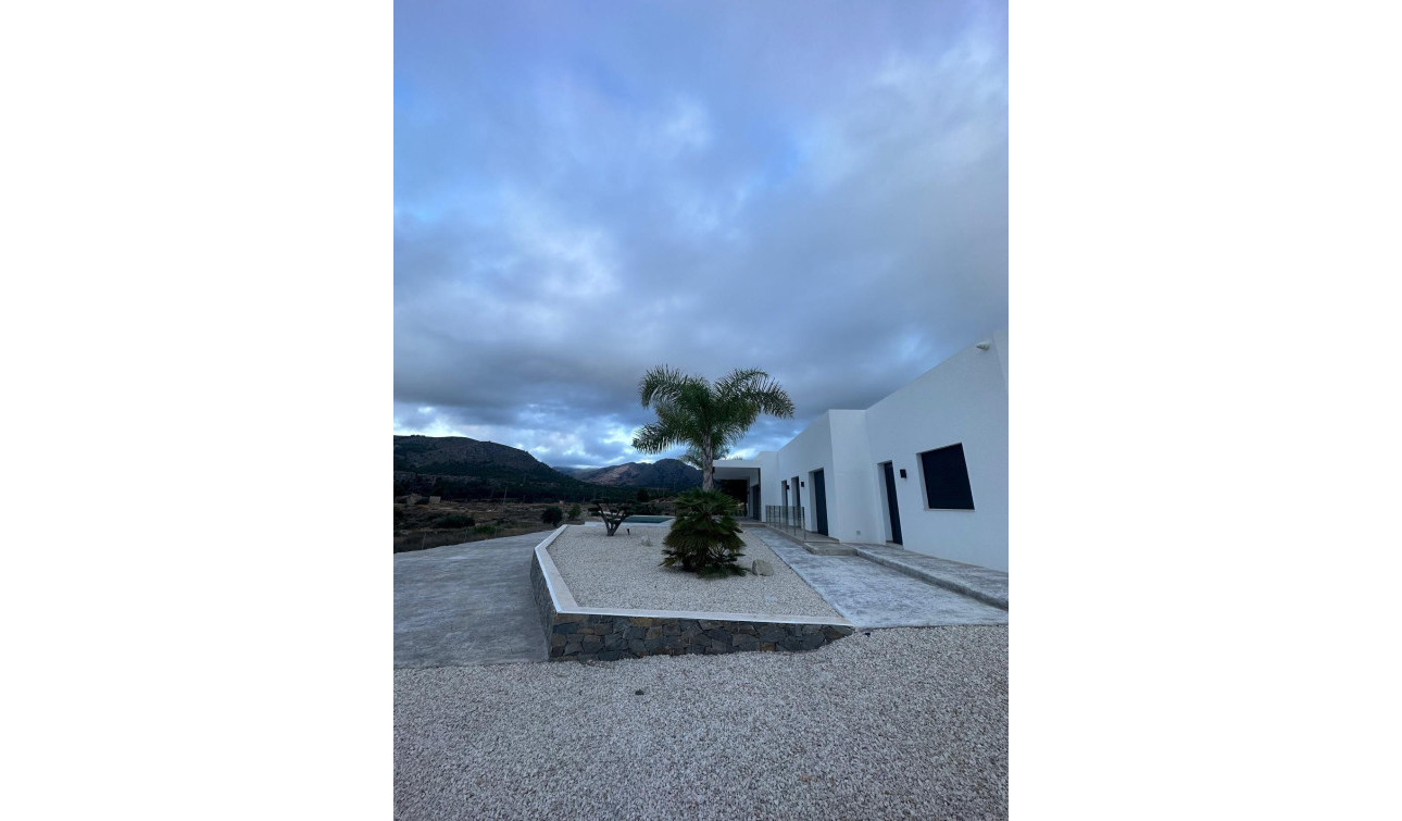 New Build - Detached Villa - Pinoso - Casas Pastor