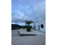 New Build - Detached Villa - Pinoso - Casas Pastor
