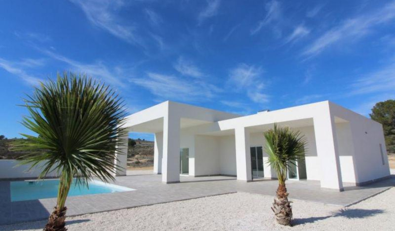 New Build - Detached Villa - Pinoso - Centro