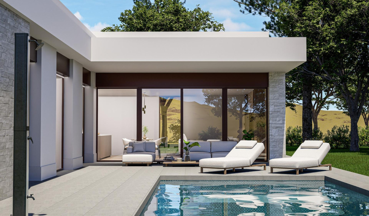 New Build - Detached Villa - Pinoso - Lel