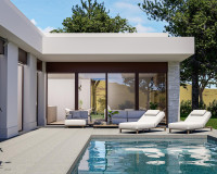 New Build - Detached Villa - Pinoso - Lel