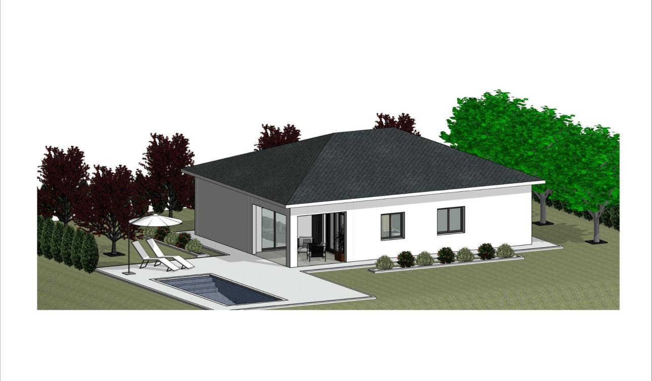 New Build - Detached Villa - Pinoso - Lel