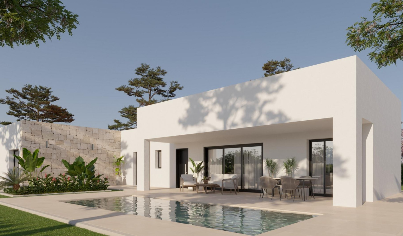 New Build - Detached Villa - Pinoso - Lel