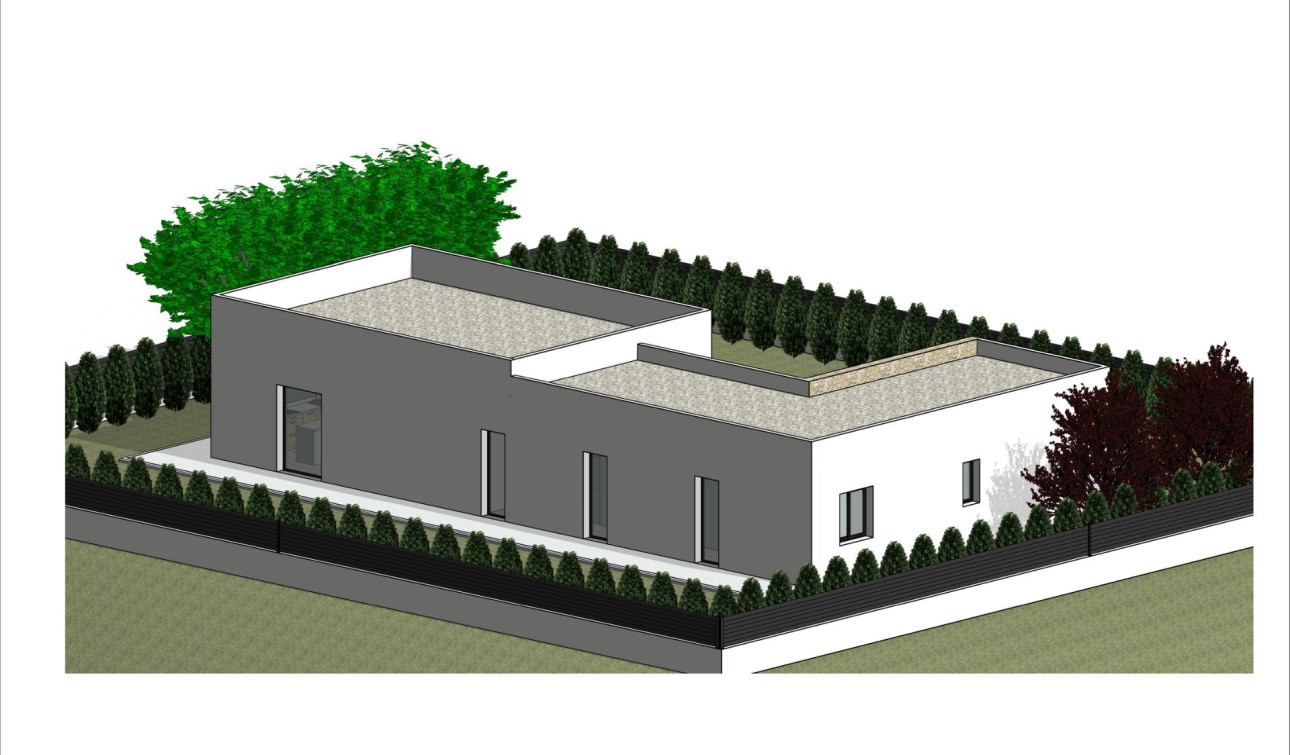 New Build - Detached Villa - Pinoso - Lel