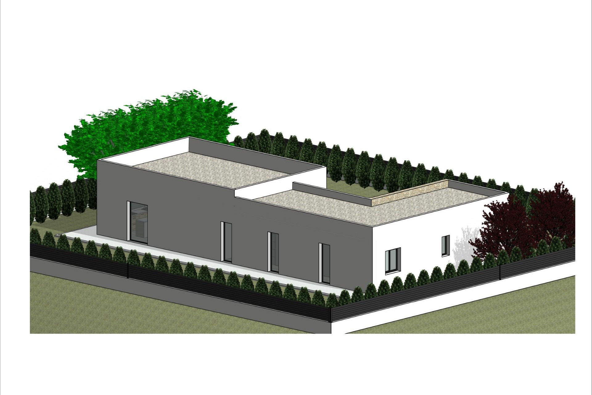 New Build - Detached Villa - Pinoso - Lel