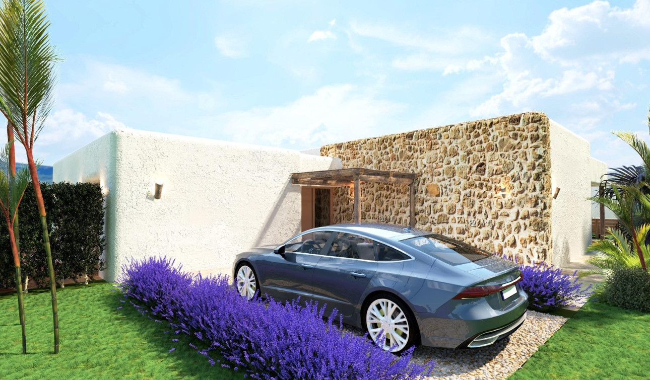 New Build - Detached Villa - Pinoso - Rodriguillo