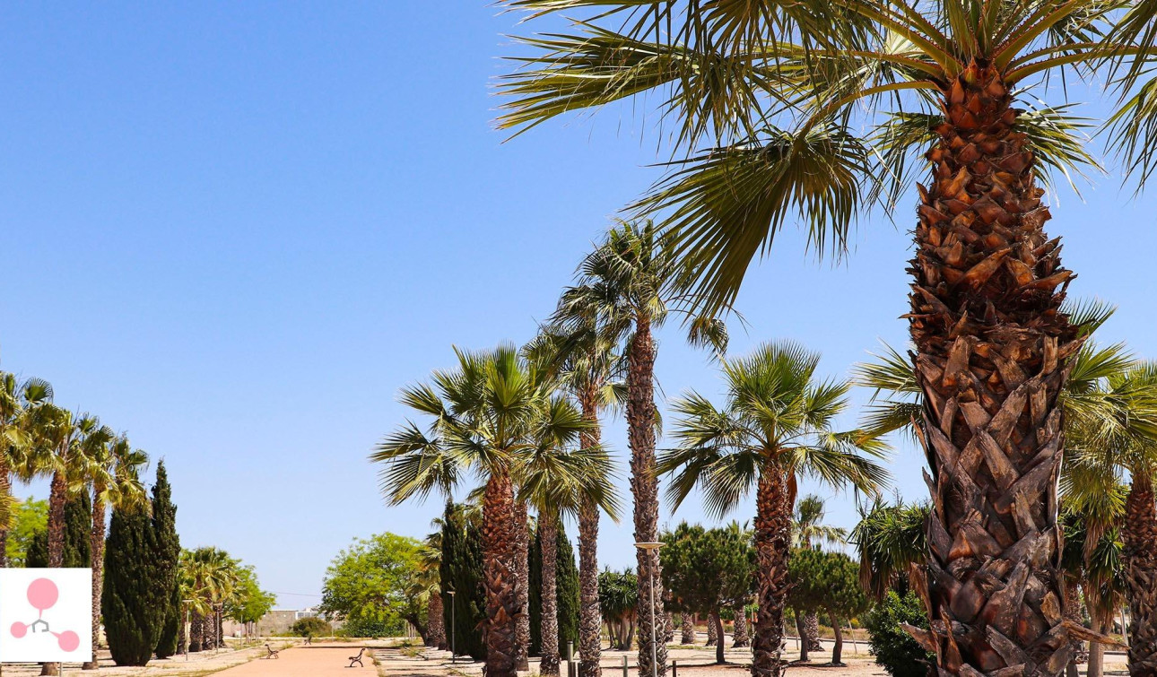 New Build - Detached Villa - San Fulgencio - La Escuera