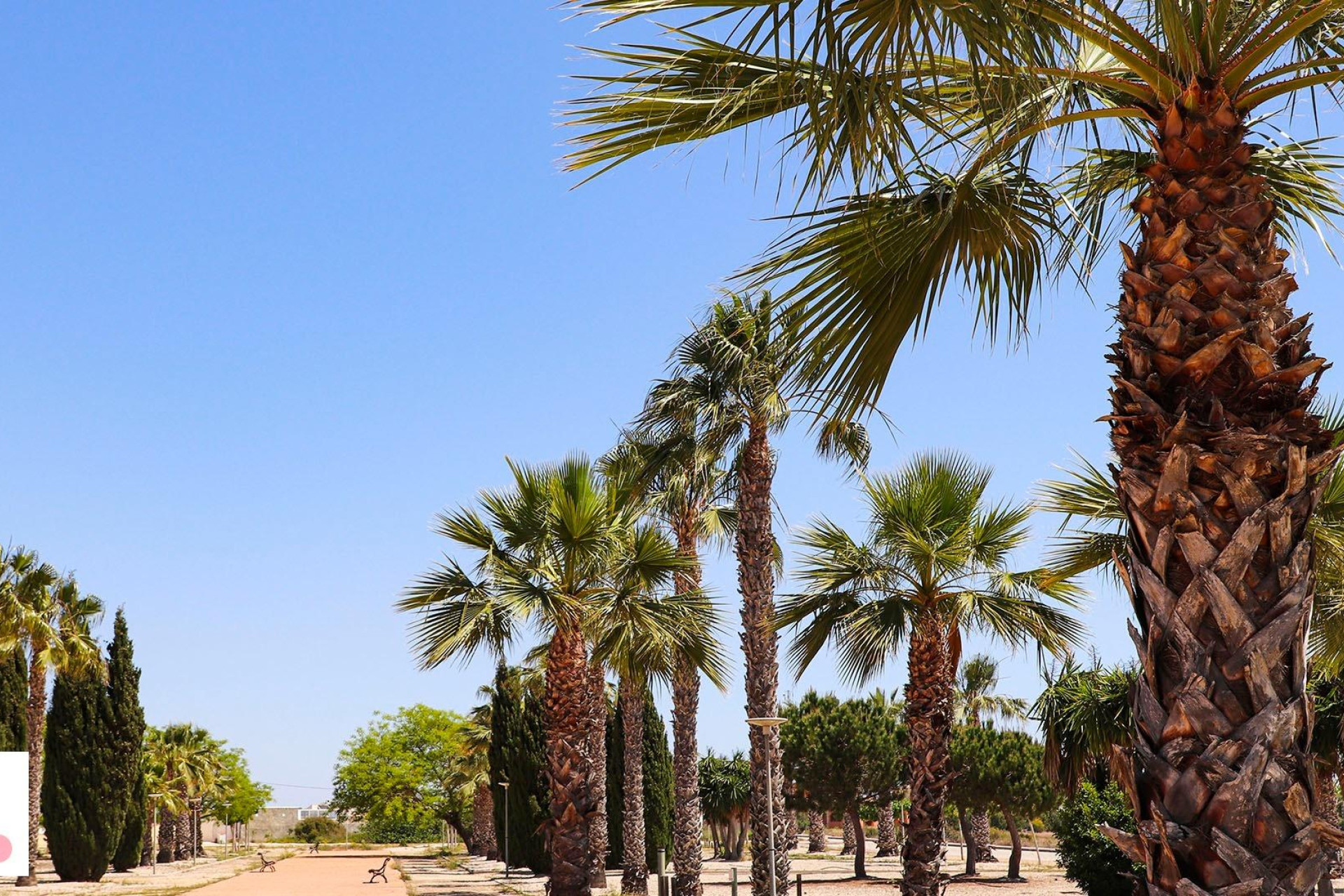 New Build - Detached Villa - San Fulgencio - La Escuera