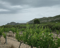 New Build - Detached Villa - Yecla