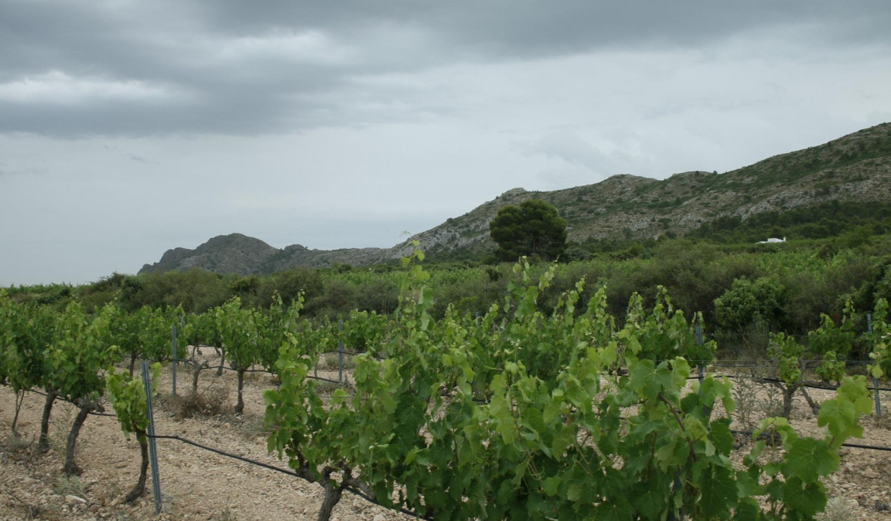 New Build - Detached Villa - Yecla