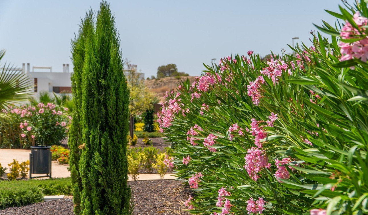 New Build - Town House - Orihuela - Entre Naranjos