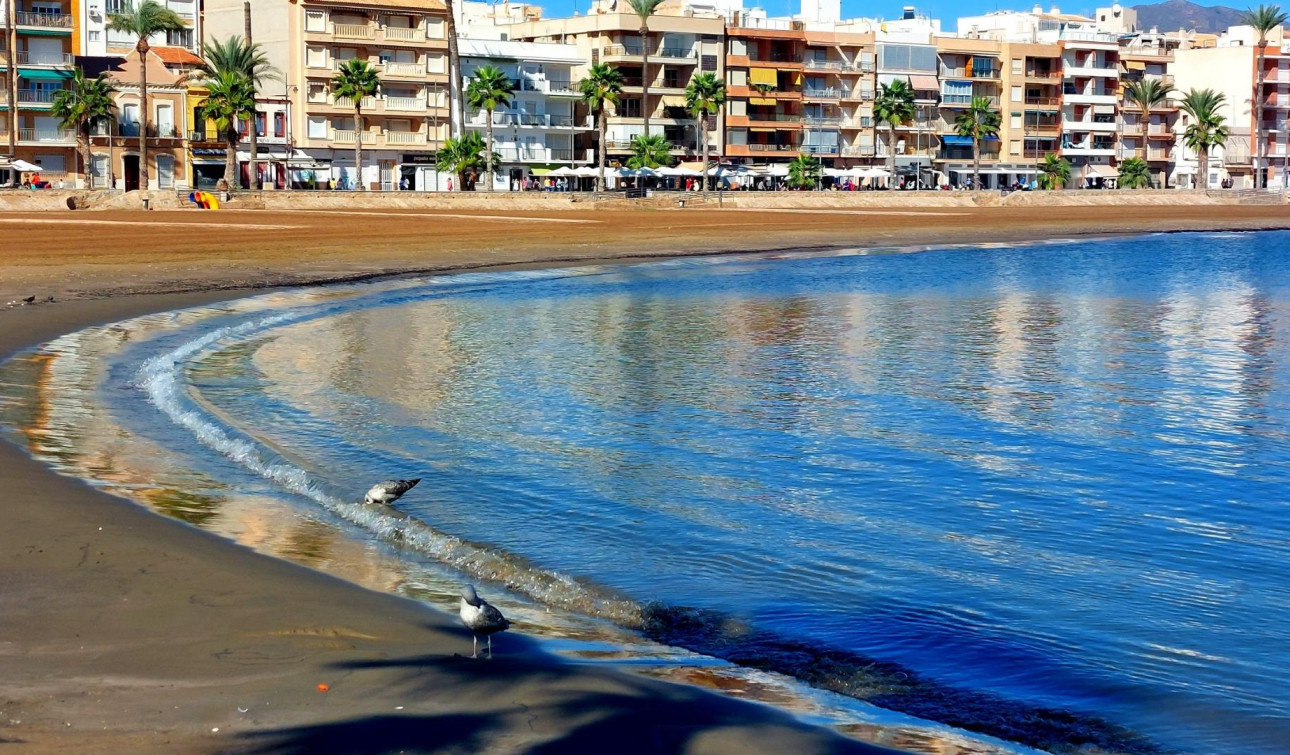 Nieuwbouw Woningen - Appartement / Flat - Fuente Álamo - La Pinilla