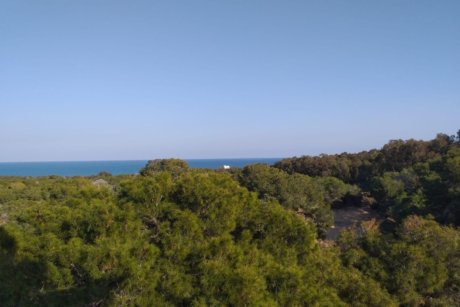 Nieuwbouw Woningen - Appartement / Flat - Guardamar del Segura - Pueblo