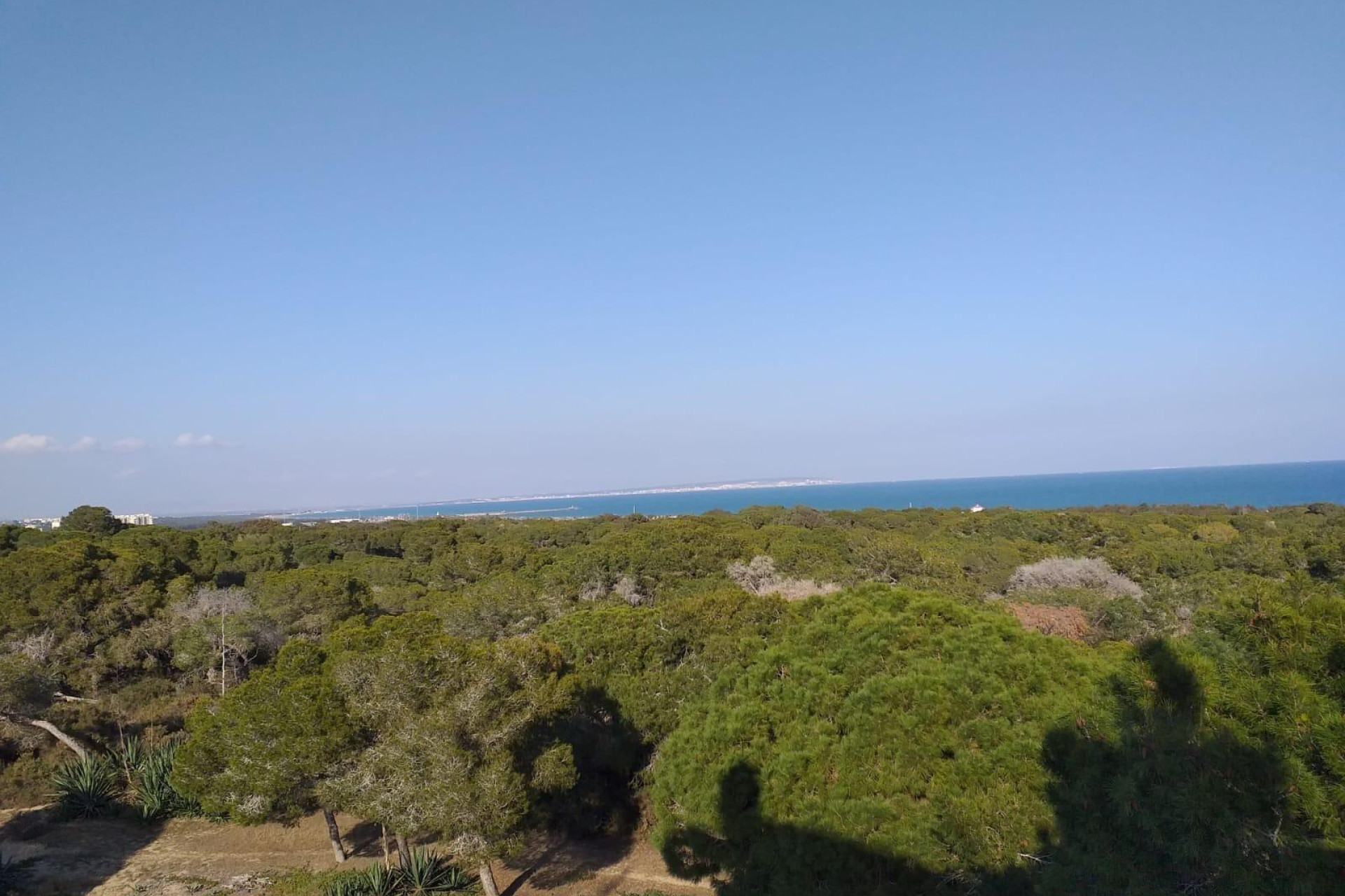 Nieuwbouw Woningen - Appartement / Flat - Guardamar del Segura - Pueblo