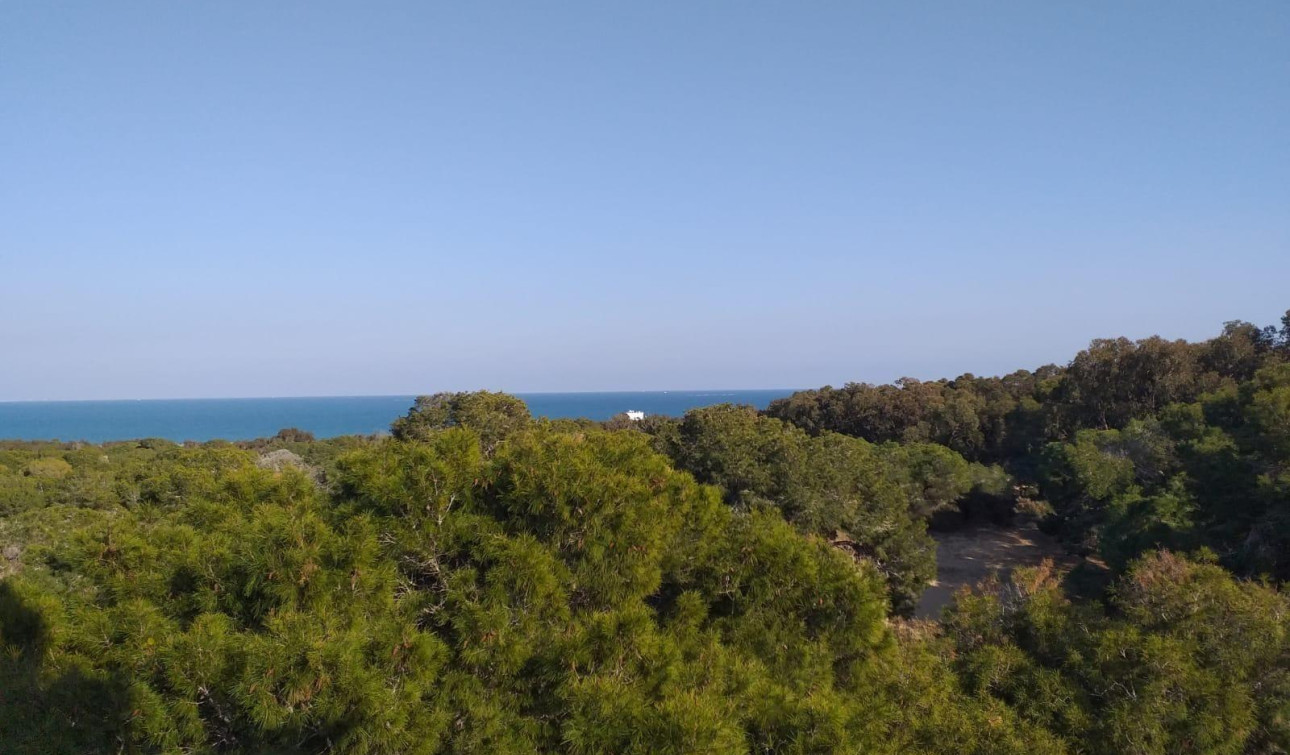 Nieuwbouw Woningen - Appartement / Flat - Guardamar del Segura - Pueblo