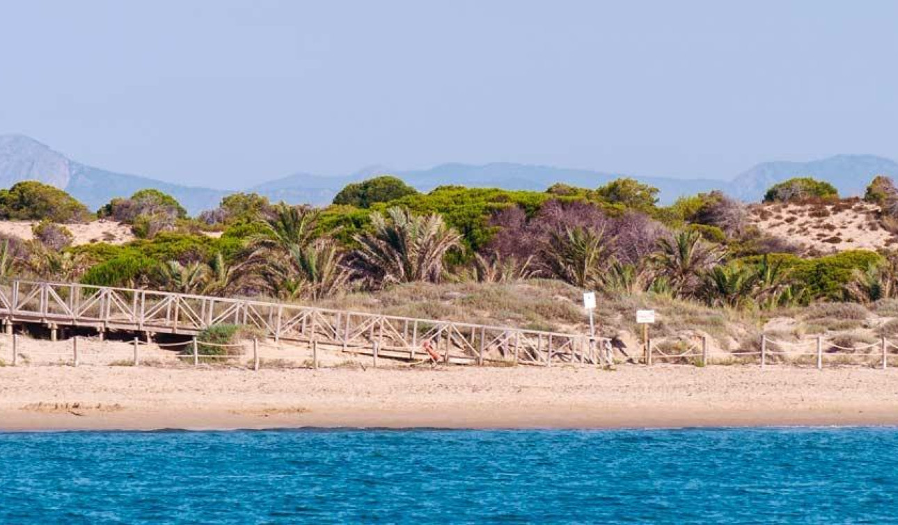 Nieuwbouw Woningen - Appartement / Flat - Guardamar del Segura - Pueblo