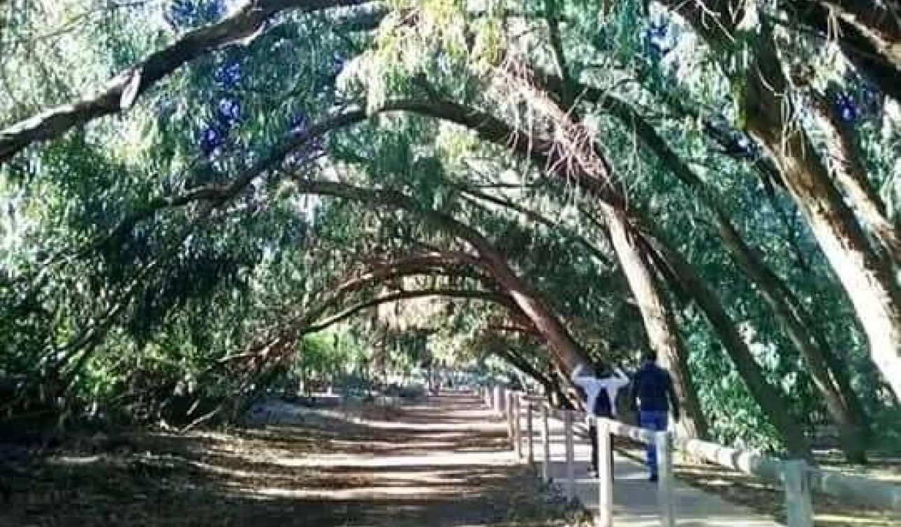 Nieuwbouw Woningen - Appartement / Flat - Torrevieja - Altos del Sol