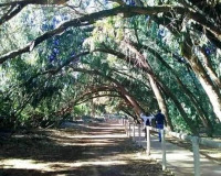 Nieuwbouw Woningen - Appartement / Flat - Torrevieja - Altos del Sol