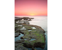 Nieuwbouw Woningen - Appartement / Flat - Torrevieja - Altos del Sol