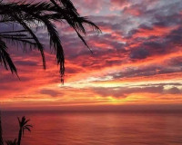 Nieuwbouw Woningen - Appartement / Flat - Torrevieja - Altos del Sol