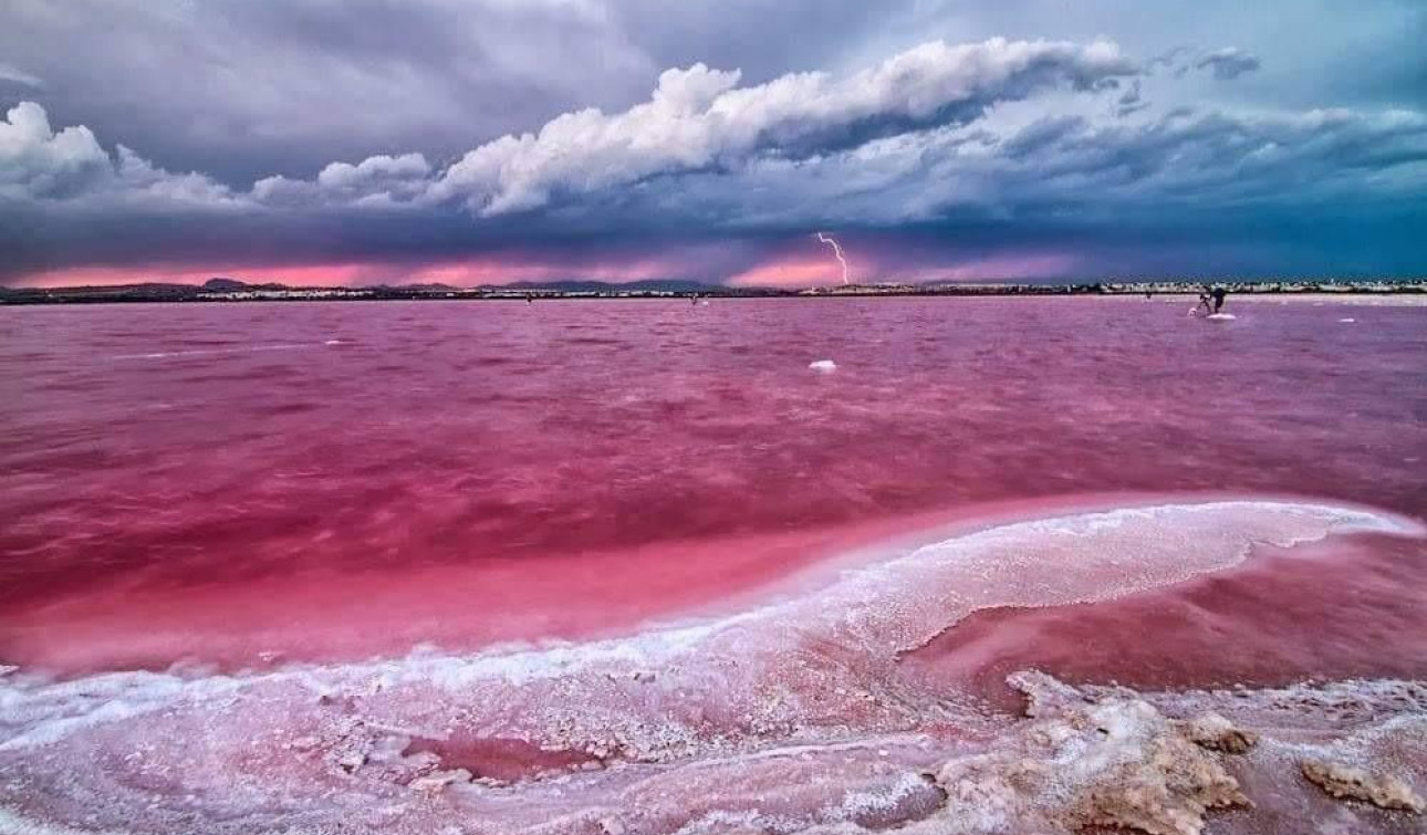 Nieuwbouw Woningen - Appartement / Flat - Torrevieja - Centro