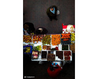 Nieuwbouw Woningen - Stadshuis - Dolores - Sector 2